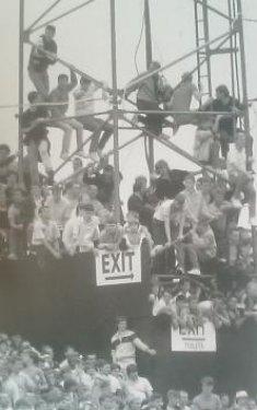 En fanatik taraftarlar