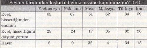 7 Müslüman ülkenin karşılaştırılması  - Resim 16