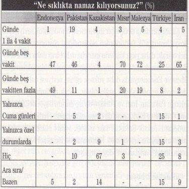 7 Müslüman ülkenin karşılaştırılması  - Resim 8