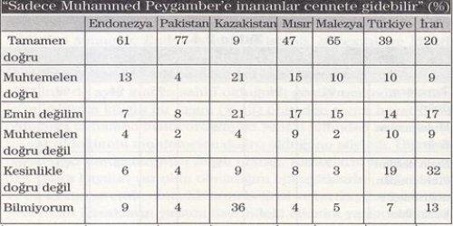 7 Müslüman ülkenin karşılaştırılması  - Resim 2