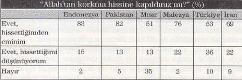 7 Müslüman ülkenin karşılaştırılması  - Resim 14