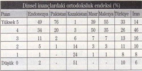 7 Müslüman ülkenin karşılaştırılması  - Resim 9