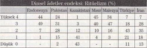 7 Müslüman ülkenin karşılaştırılması  - Resim 13