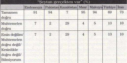 7 Müslüman ülkenin karşılaştırılması  - Resim 5