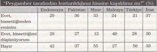 7 Müslüman ülkenin karşılaştırılması  - Resim 11
