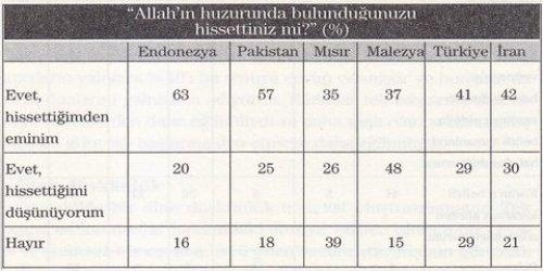 7 Müslüman ülkenin karşılaştırılması  - Resim 12