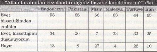 7 Müslüman ülkenin karşılaştırılması  - Resim 18