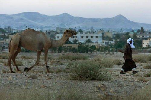Dünyanın en eski şehirleri