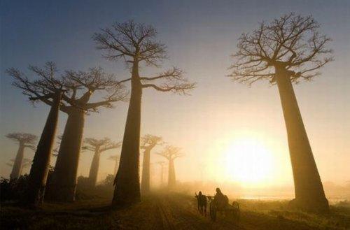 National Geographic'ten eşsiz anlar  - Resim 26