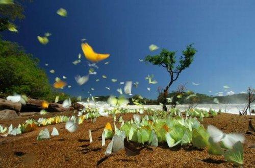 National Geographic'ten eşsiz anlar  - Resim 12
