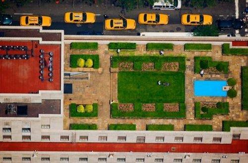 National Geographic'ten eşsiz anlar  - Resim 16