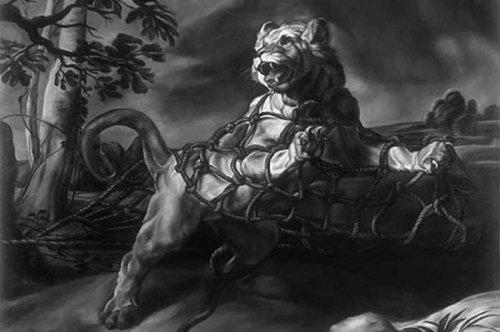 Değişik açılardan farklı tasarımlar