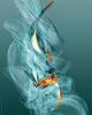 Değişik grafik tasarımlar 