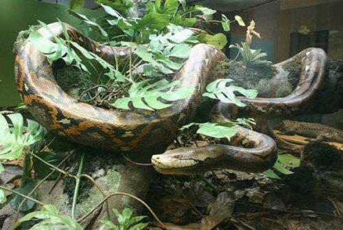 Bazıları çok masum görünür ama...