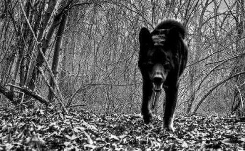 Bazıları çok masum görünür ama...