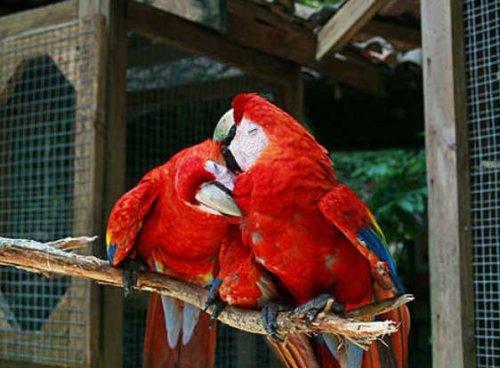 Bazıları çok masum görünür ama...