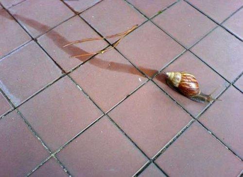 Bazıları çok masum görünür ama...