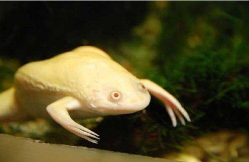 Bazıları çok masum görünür ama...