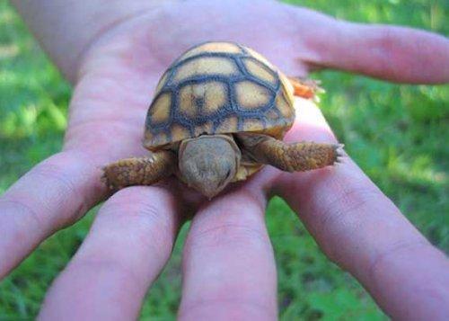 Bazıları çok masum görünür ama...