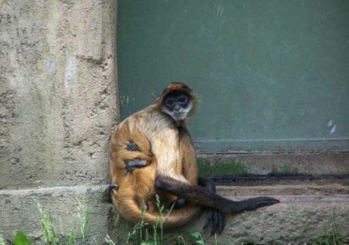 Bazıları çok masum görünür ama...