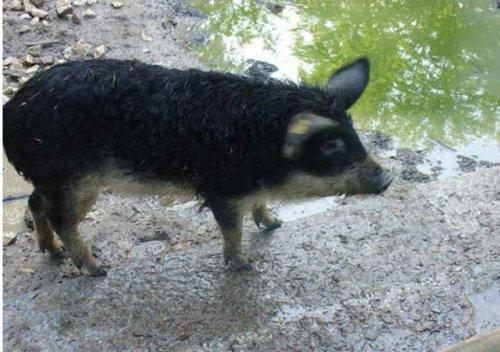 Bazıları çok masum görünür ama...
