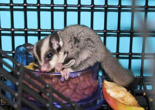 Bazıları çok masum görünür ama...