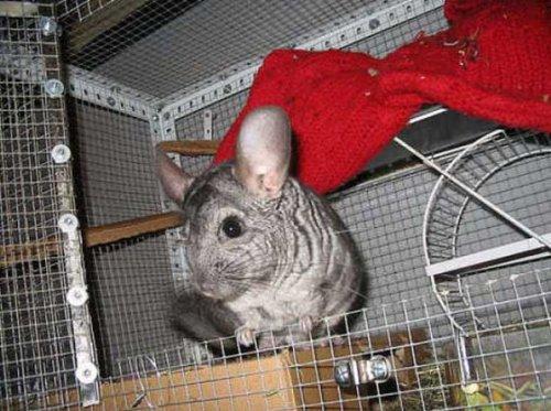 Bazıları çok masum görünür ama...