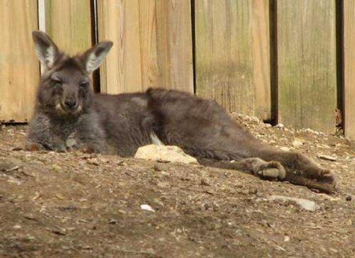 Bazıları çok masum görünür ama...
