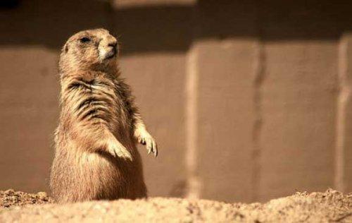 Bazıları çok masum görünür ama...