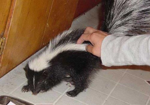 Bazıları çok masum görünür ama...