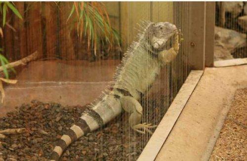 Bazıları çok masum görünür ama...