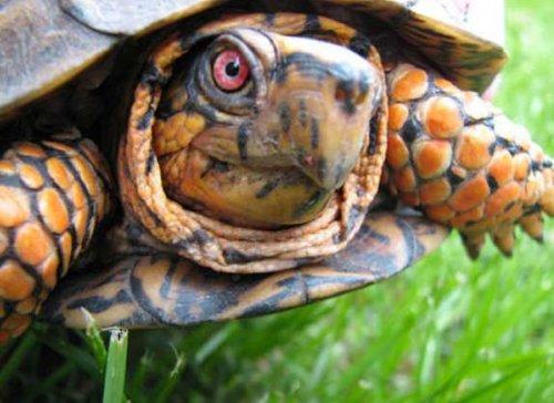 Bazıları çok masum görünür ama...