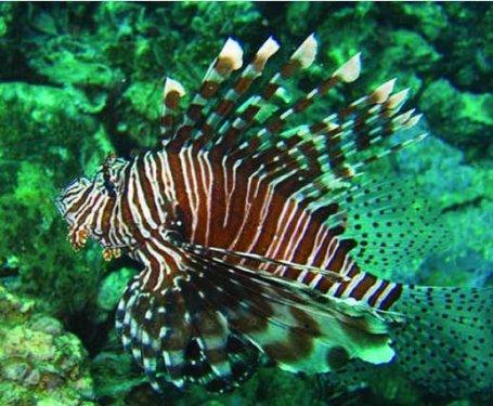 Bazıları çok masum görünür ama...