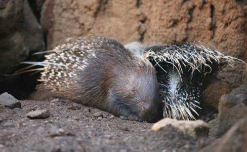 Bazıları çok masum görünür ama...