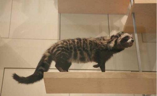 Bazıları çok masum görünür ama...