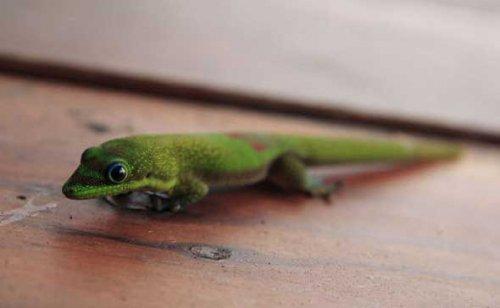 Bazıları çok masum görünür ama...