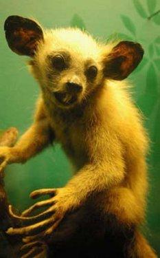 Bazıları çok masum görünür ama...