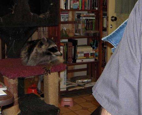 Bazıları çok masum görünür ama...