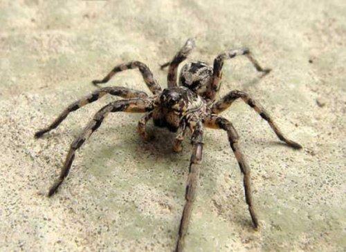 Bazıları çok masum görünür ama...