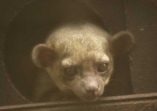 Bazıları çok masum görünür ama...