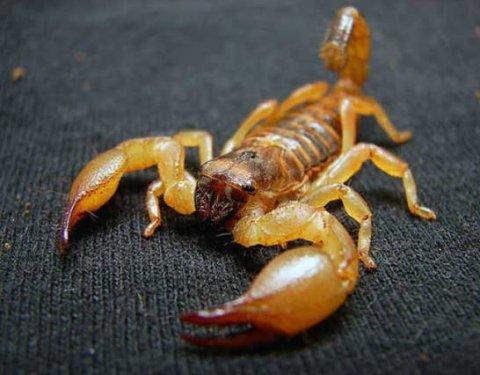 Bazıları çok masum görünür ama...