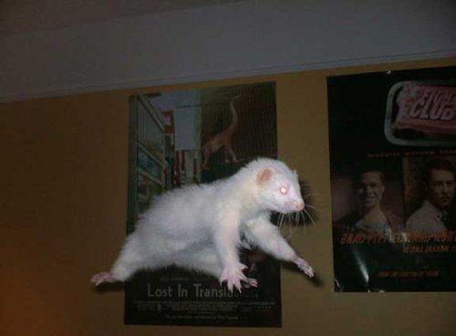 Bazıları çok masum görünür ama...