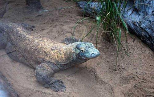 Bazıları çok masum görünür ama...