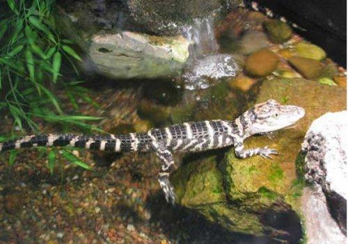 Bazıları çok masum görünür ama...
