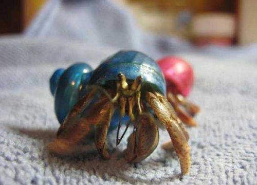 Bazıları çok masum görünür ama...