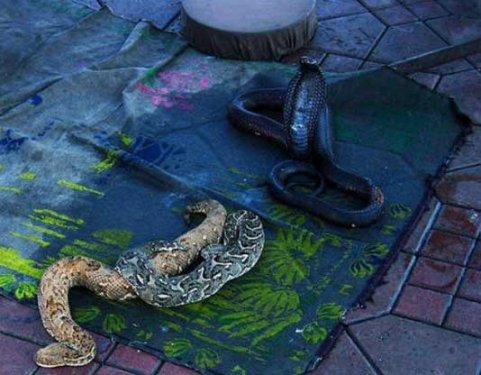 Bazıları çok masum görünür ama...