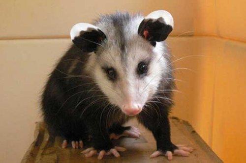 Bazıları çok masum görünür ama...