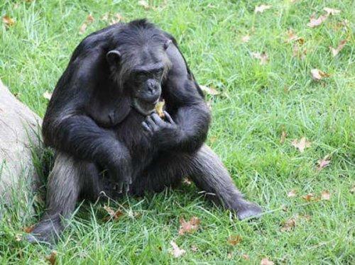 Bazıları çok masum görünür ama...