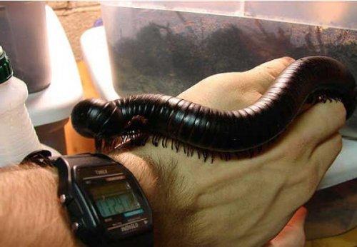 Bazıları çok masum görünür ama...