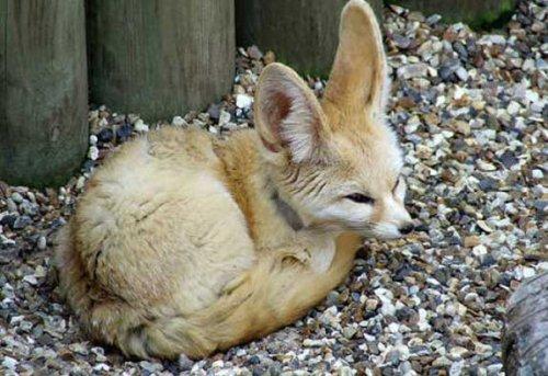 Bazıları çok masum görünür ama...